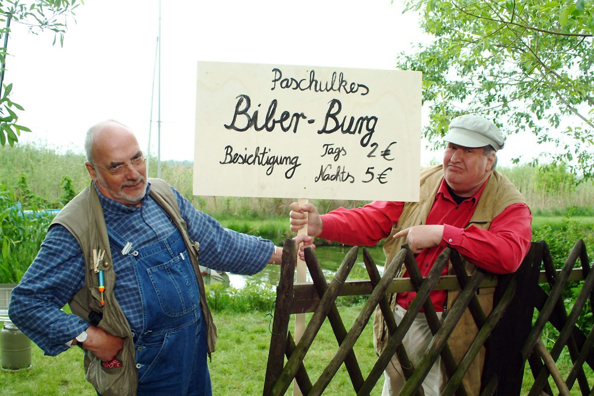Löwenzahn löwenzahn