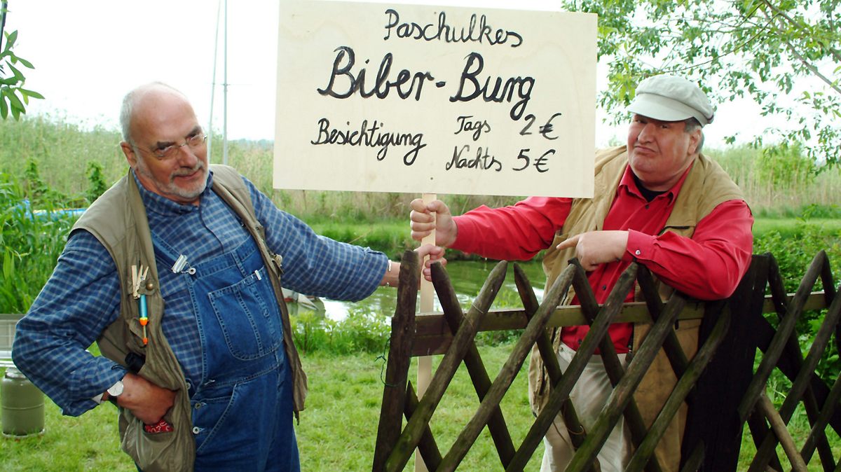 löwenzahn