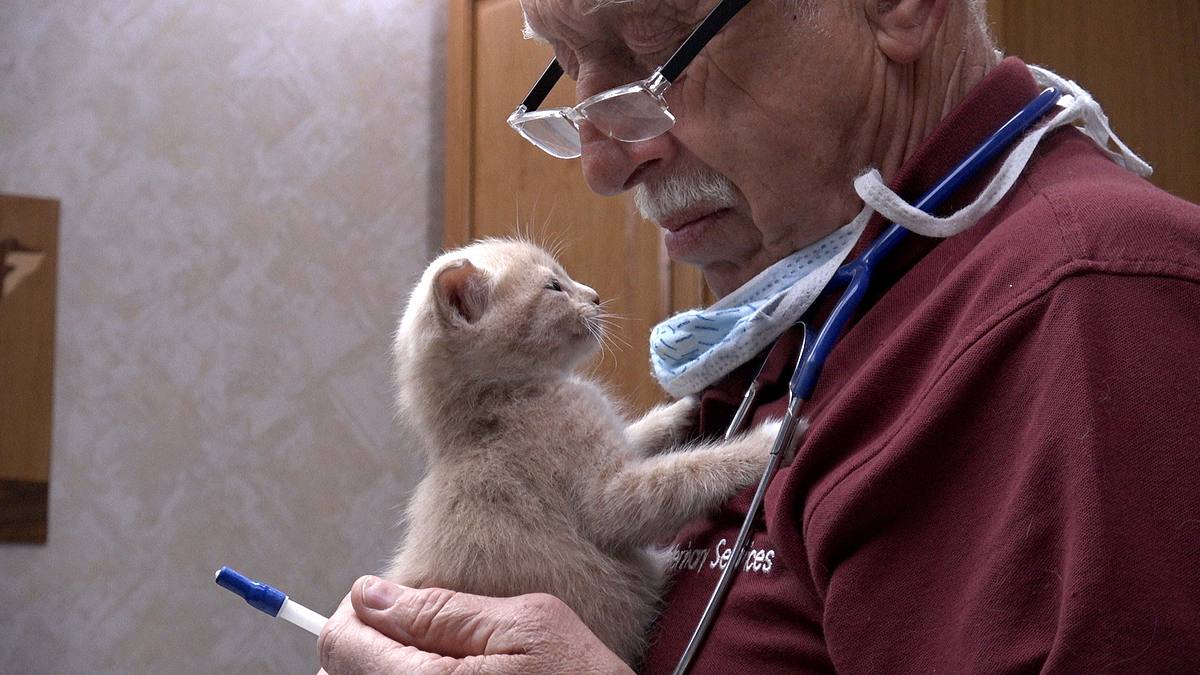 der unglaubliche dr. pol