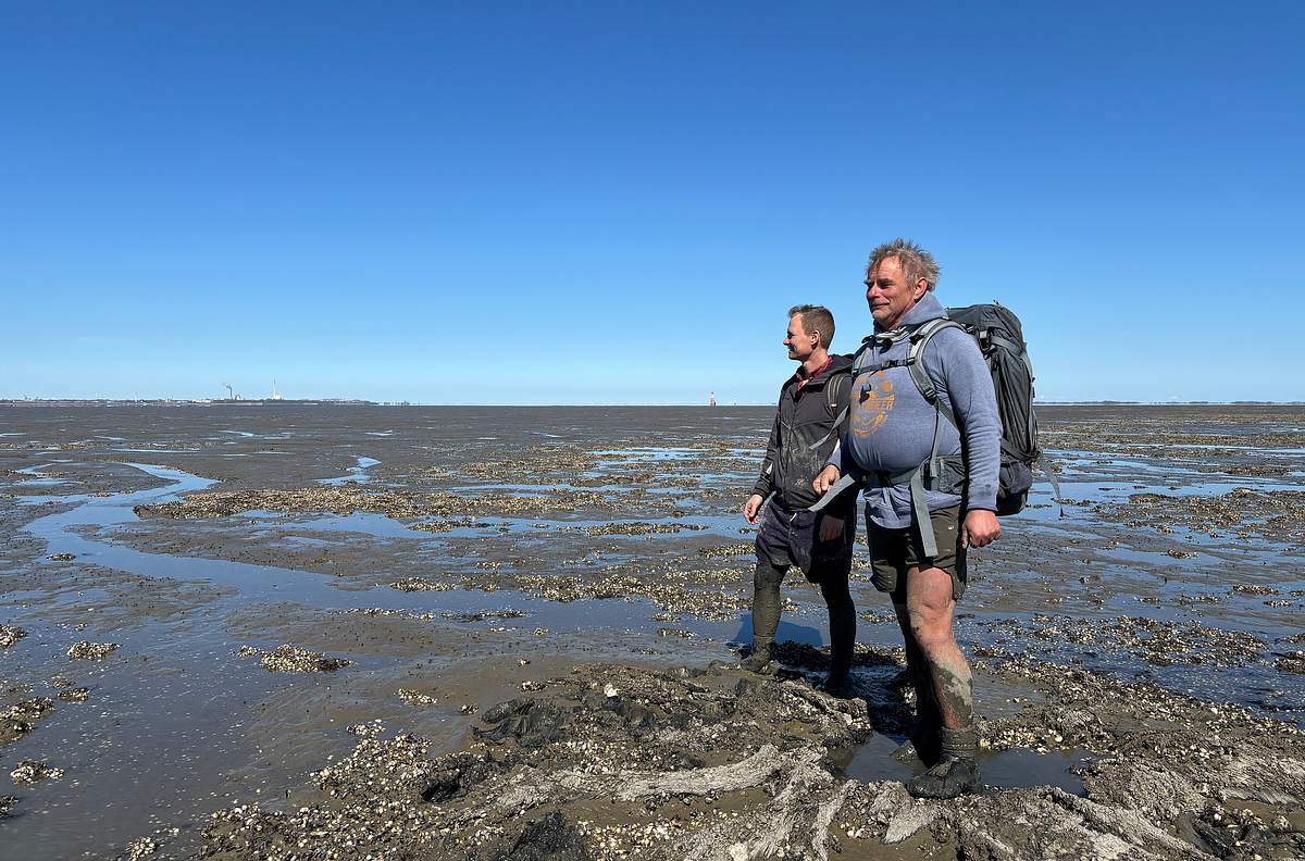 Nordseereport nordseereport