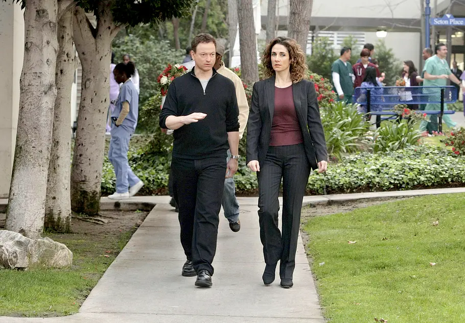 CSI: NY csi: ny