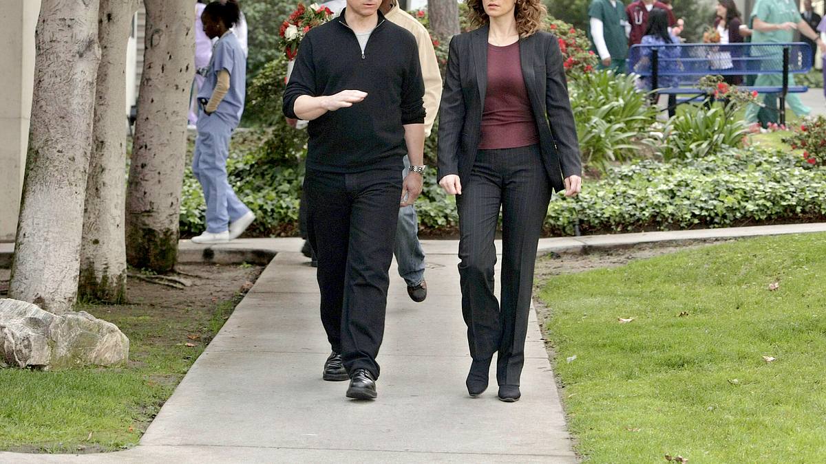 csi: ny