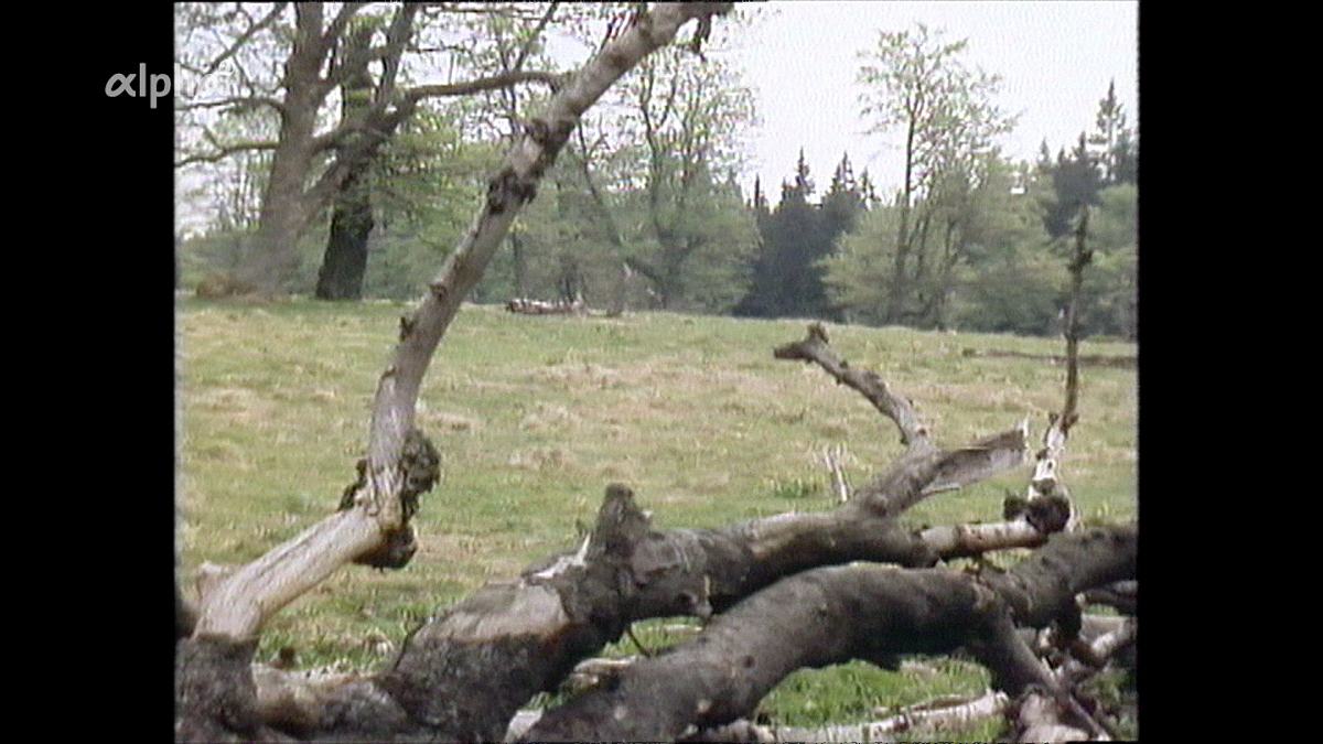 alpha-retro: sagen und landschaften