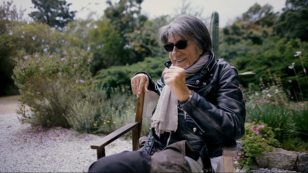 françoise hardy - die diskrete