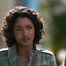 Death in Paradise Thumbnail