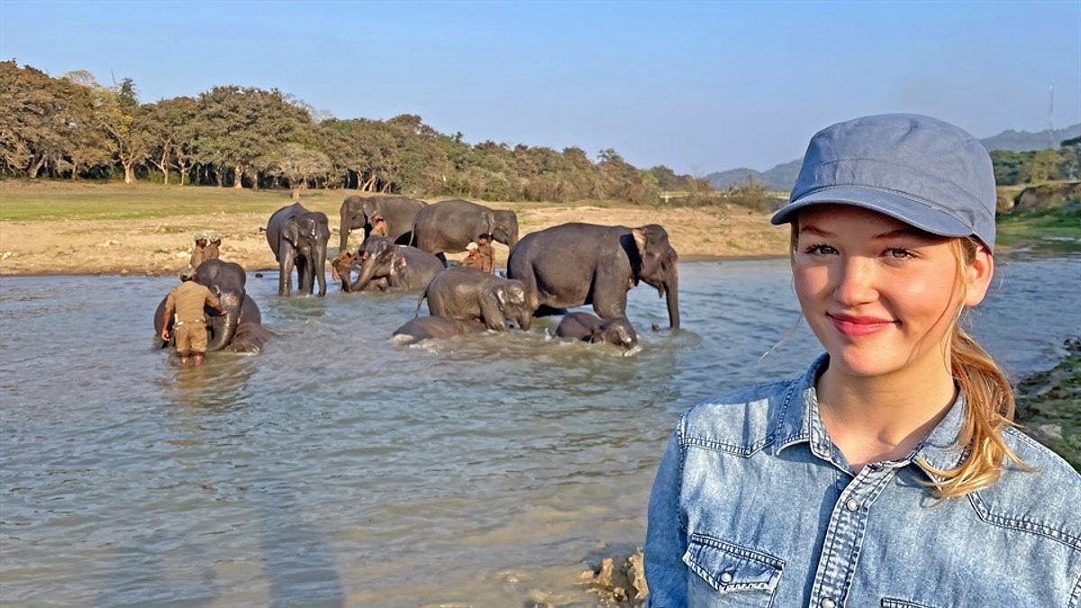 Nina und die wilden Tiere nina und die wilden tiere