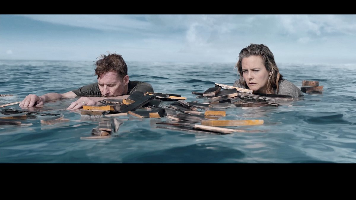 the requin - der hai