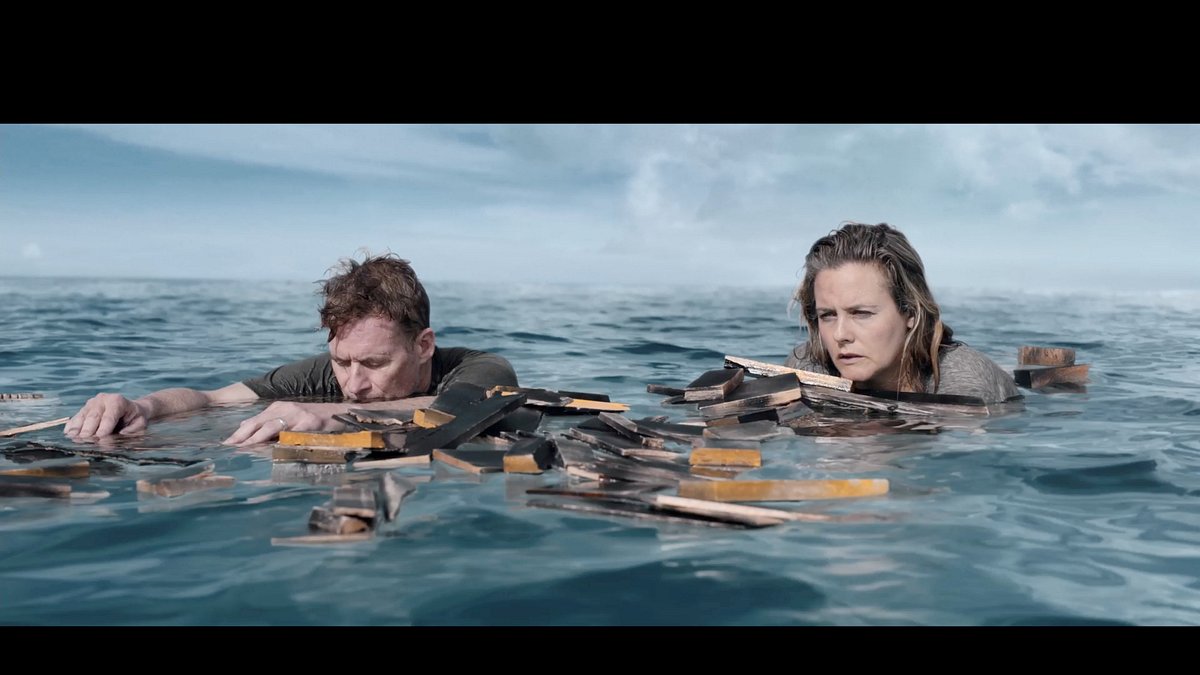 the requin - der hai