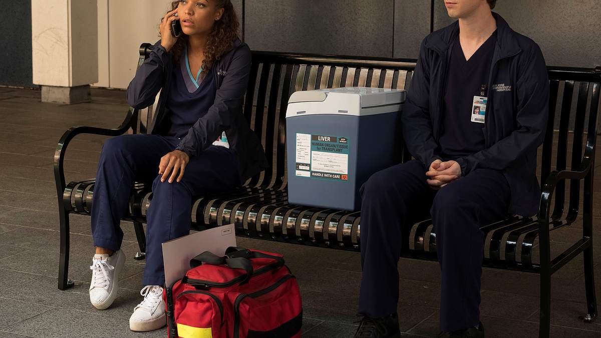 the good doctor