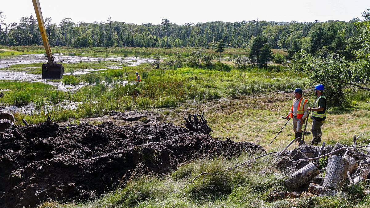 oak island - fluch und legende