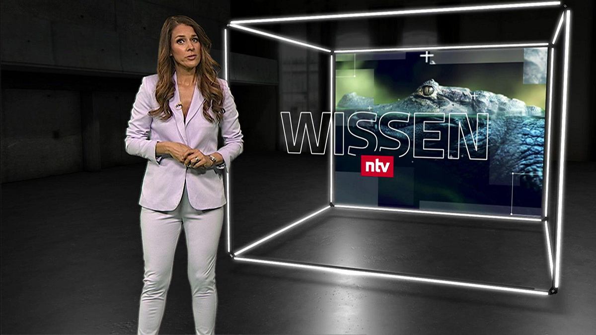 wissen