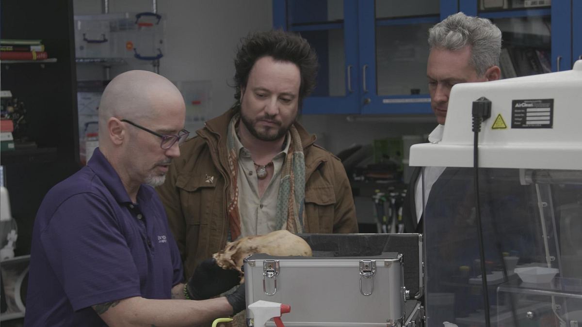 ancient aliens - unerklärliche phänomene