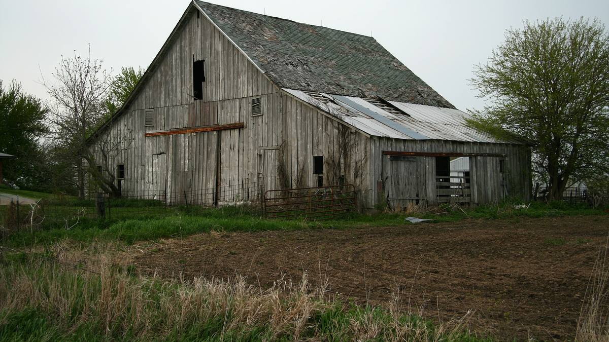 buried in the backyard - mord verjährt nicht
