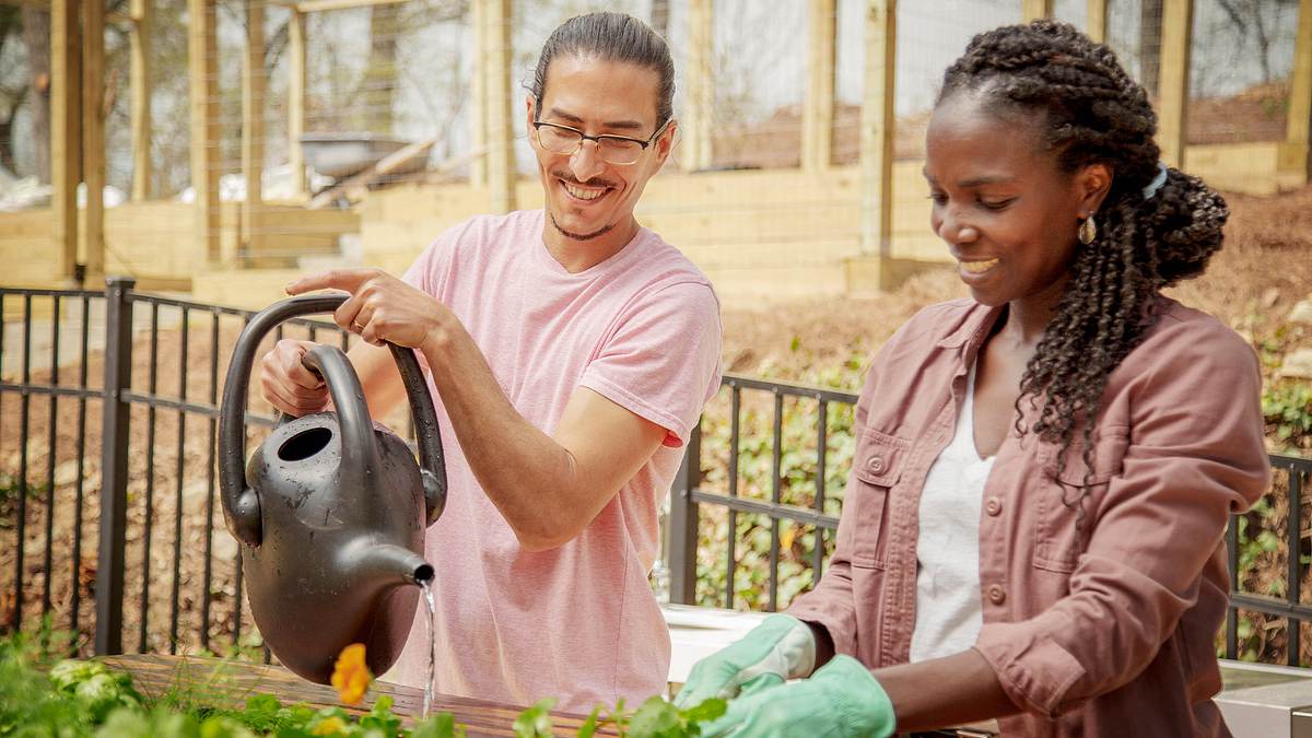 homegrown - aus liebe zum garten