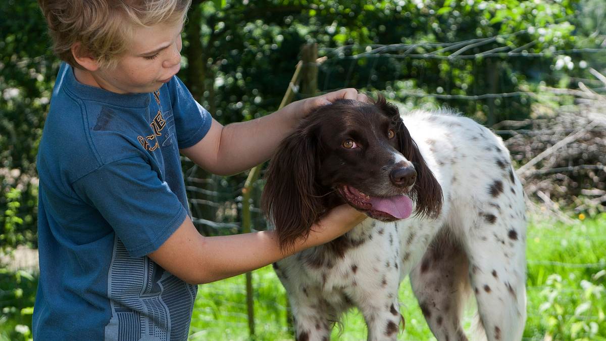tiere bis unters dach