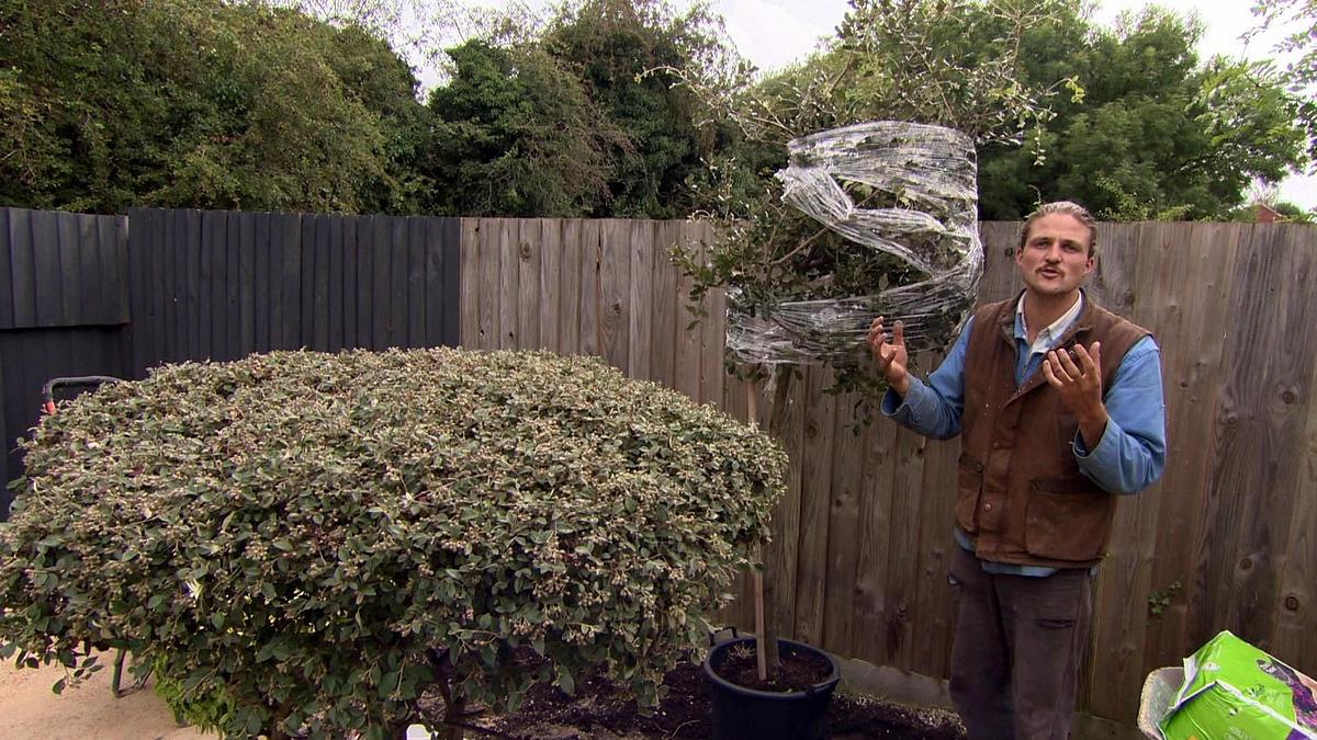 Garden Rescue: Wer rettet meinen Garten? garden rescue: wer rettet meinen garten?