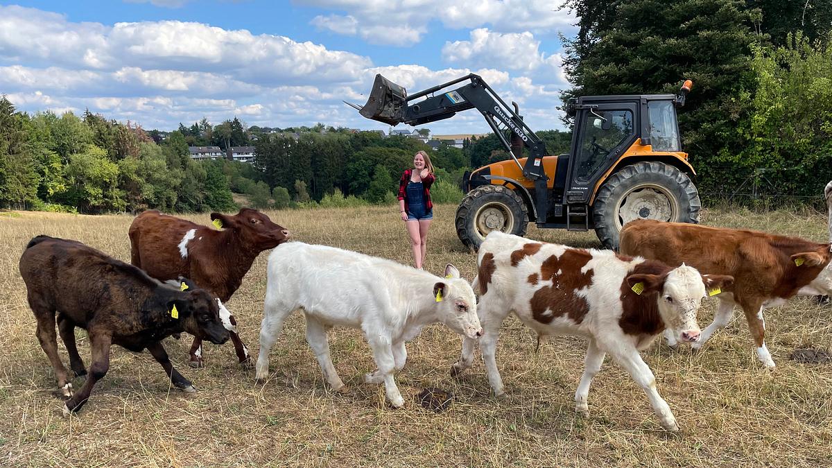 unsere eigene farm - hier blüht uns was