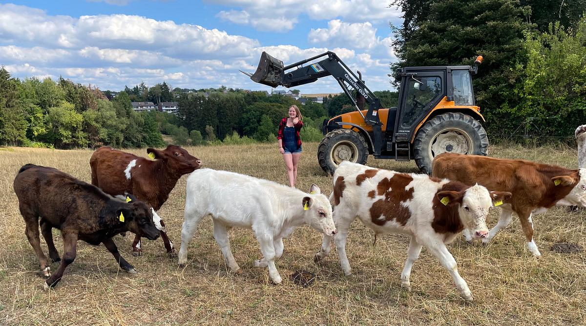 unsere eigene farm - hier blüht uns was