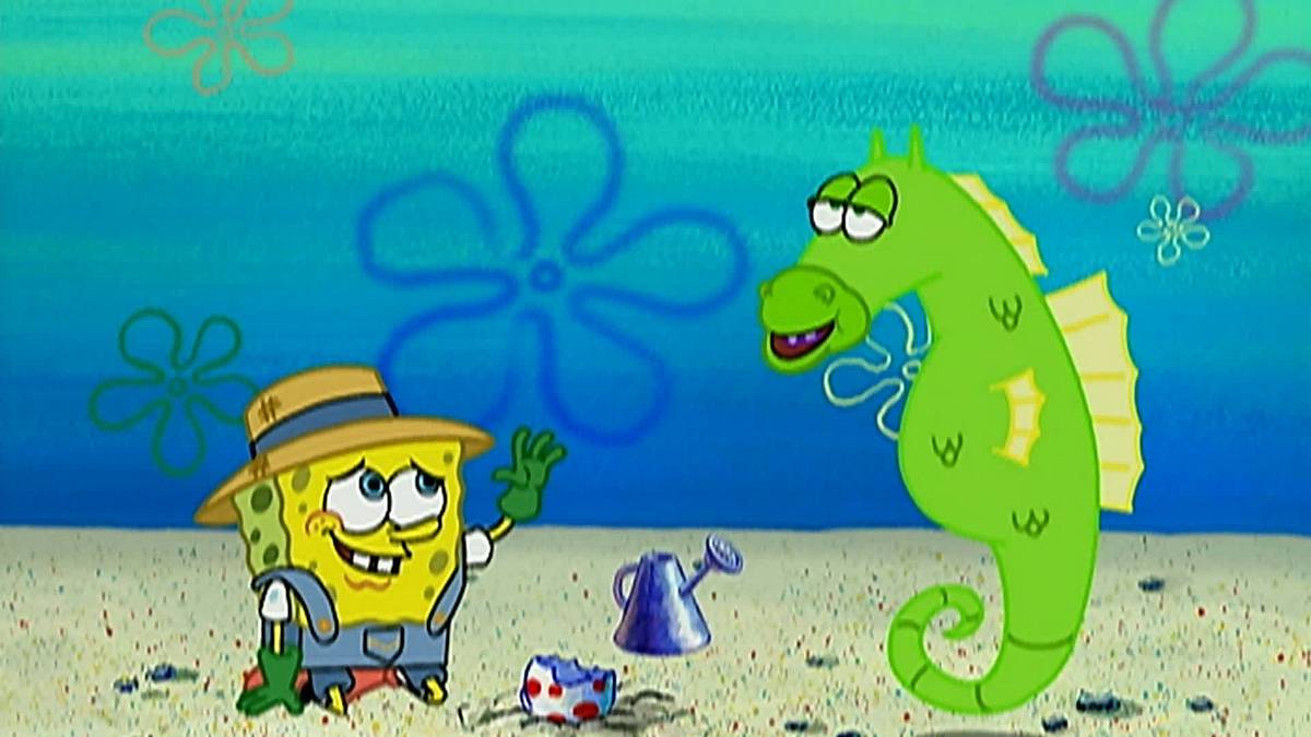 spongebob schwammkopf