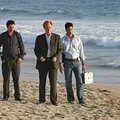 CSI: Miami Thumbnail