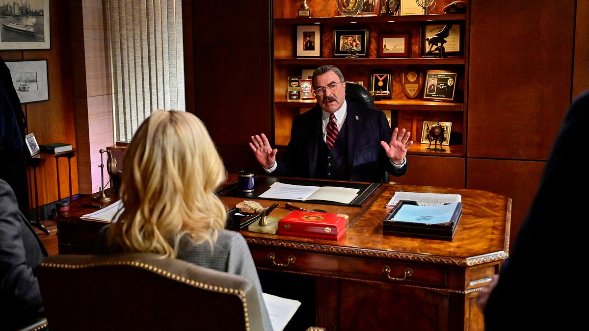 blue bloods - crime scene new york