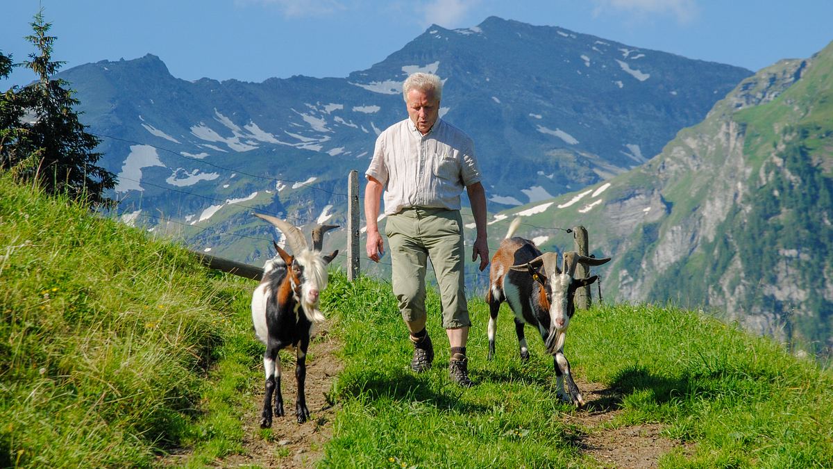 auf den gipfeln des pinzgau