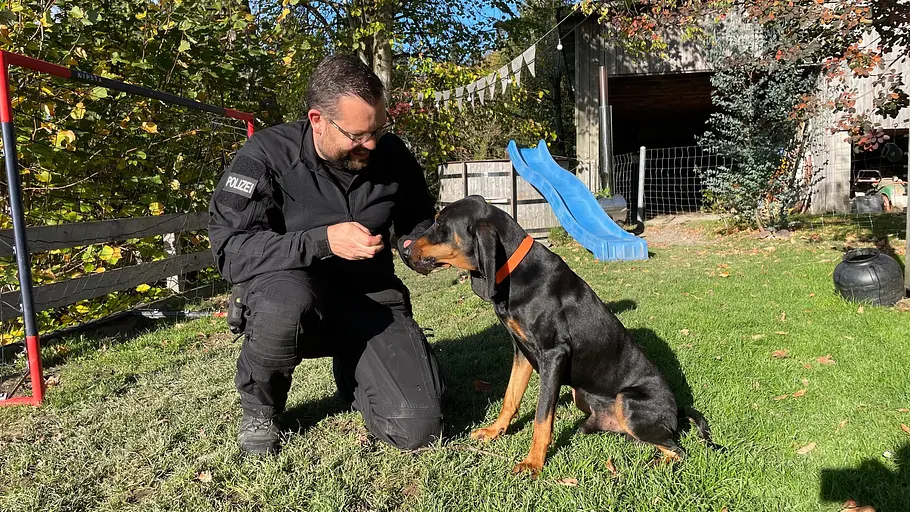 Schweizer Hundegeschichten schweizer hundegeschichten