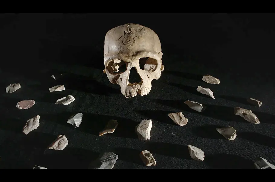 Homo sapiens - Vom wahren Ursprung des Lebens homo sapiens - vom wahren ursprung des lebens
