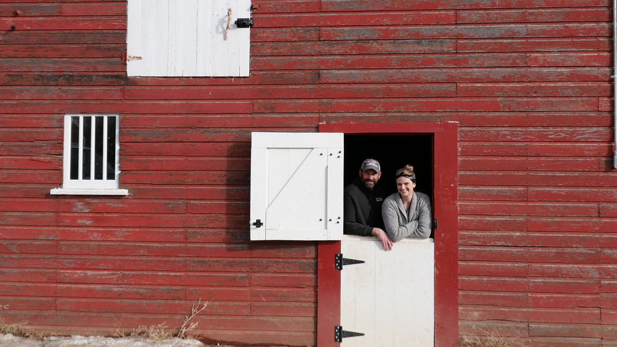 heartland docs - die tierarzt-familie