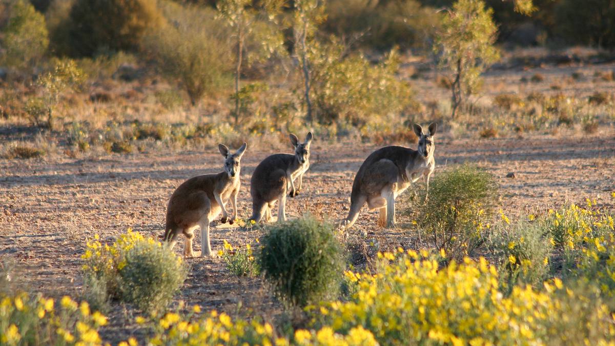 australien von oben