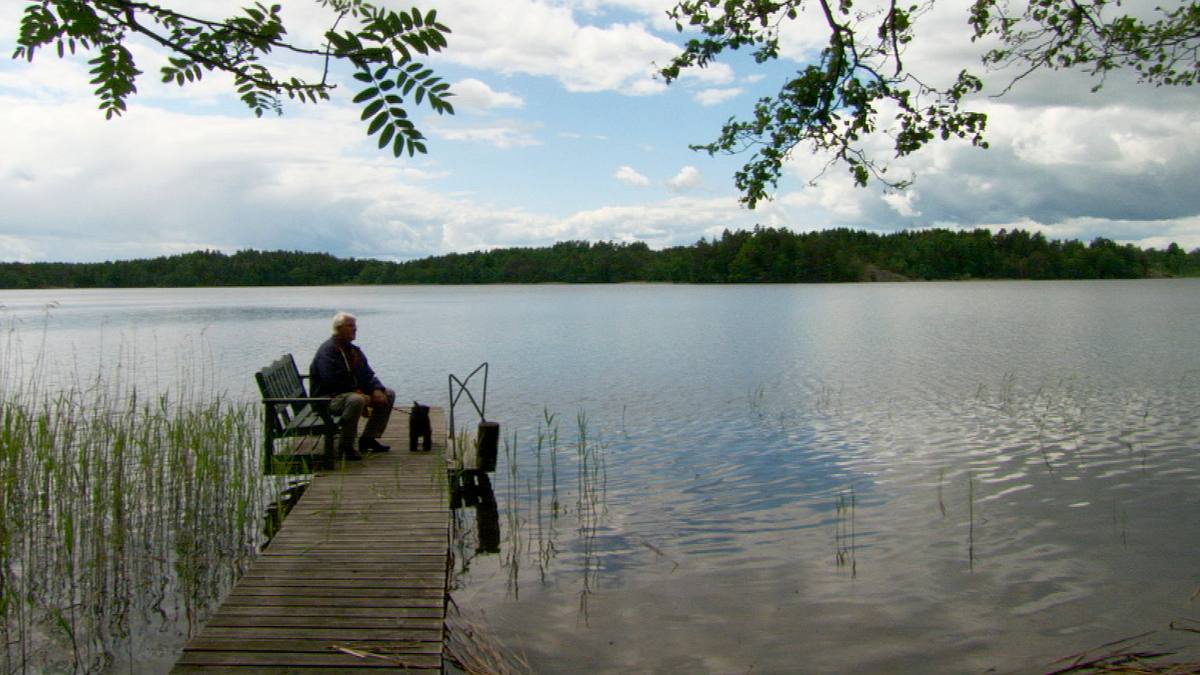 geheimakte wildnis