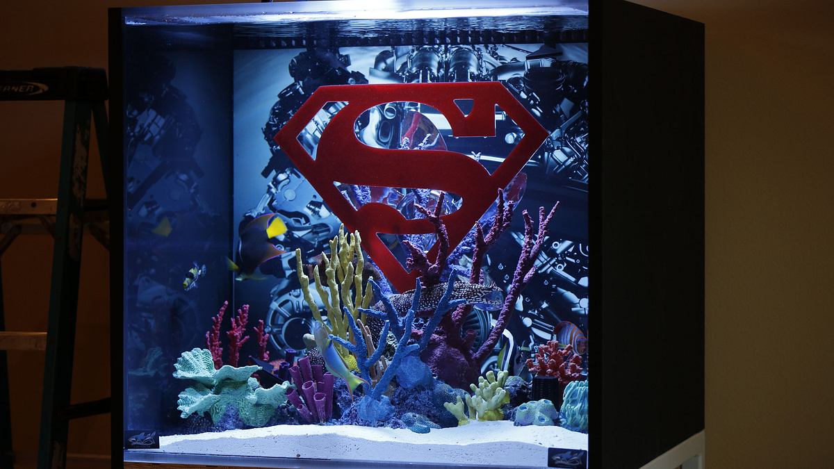 die aquarium-profis