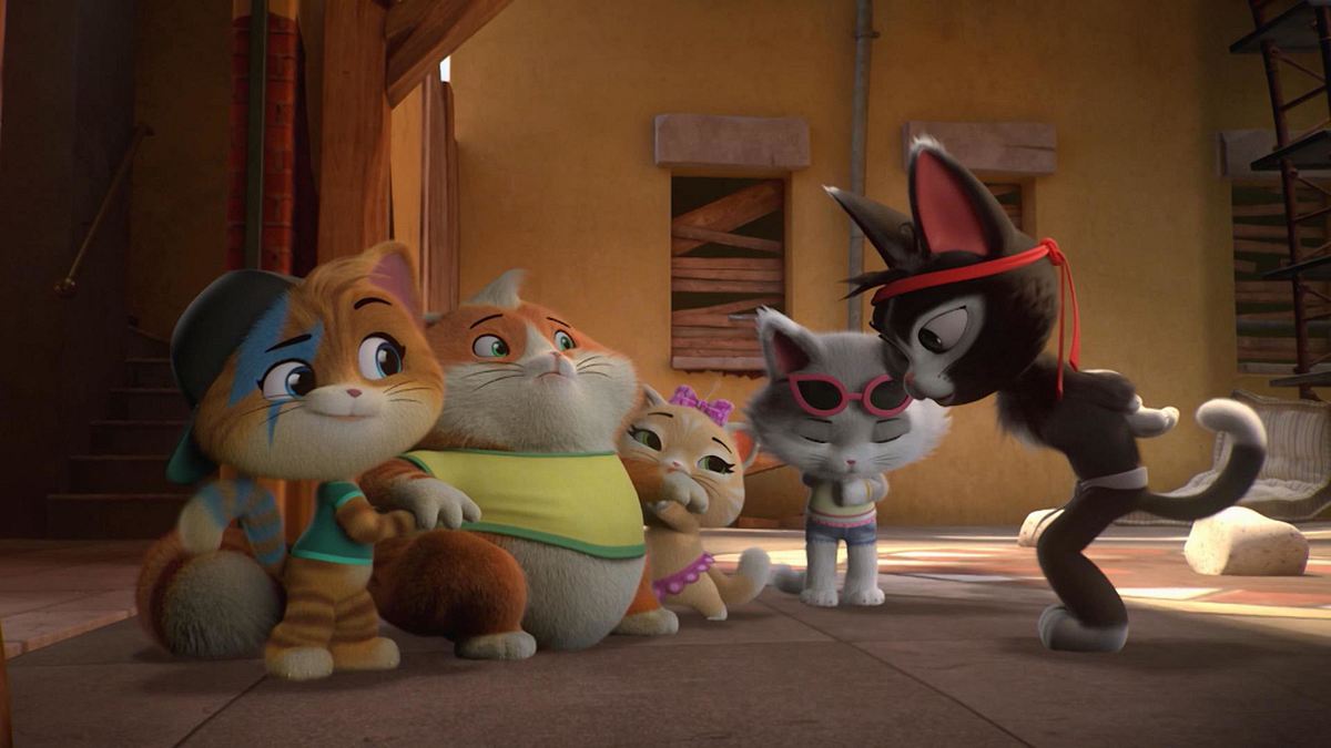 44 Cats 44 cats