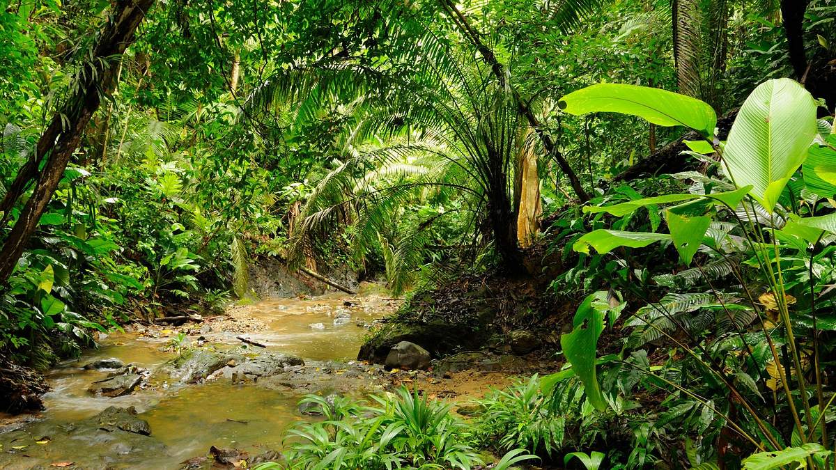 naked survival - ausgezogen in die wildnis