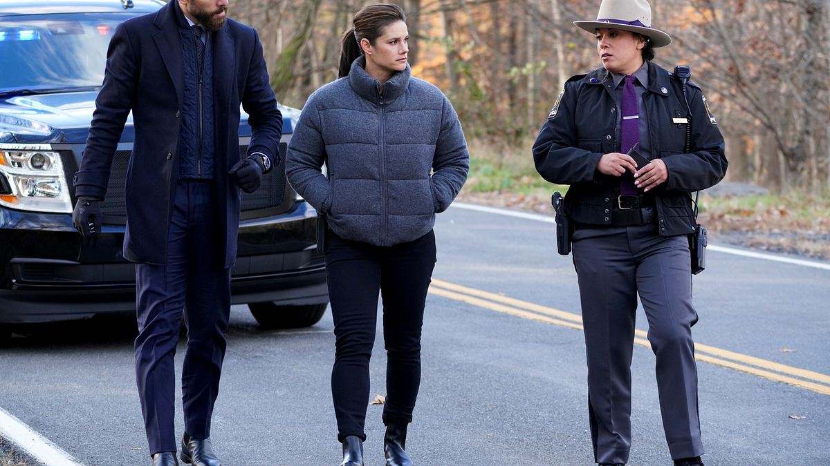 fbi: special crime unit