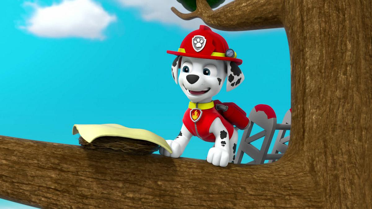 paw patrol - helfer auf vier pfoten