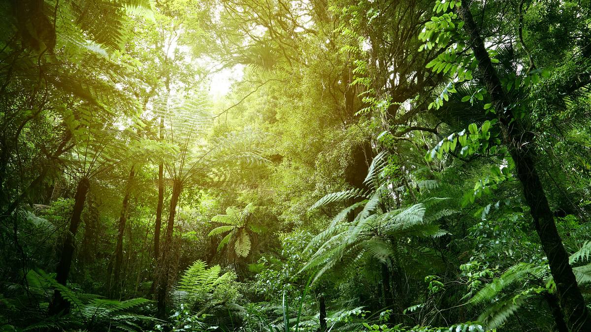 naked survival - ausgezogen in die wildnis