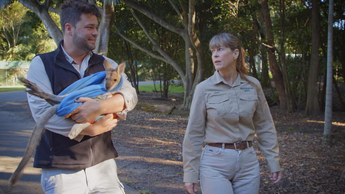 die irwins - crocodile hunter family