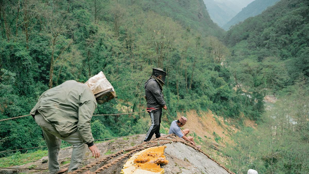 mit dem rucksack durch nepal