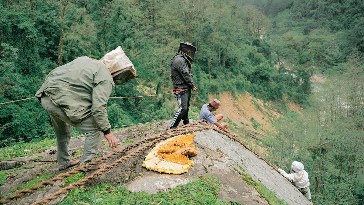mit dem rucksack durch nepal