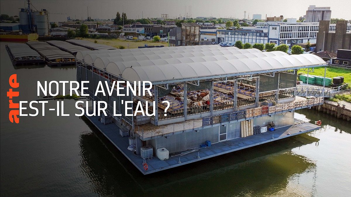 Zukunft auf dem Wasser - Die blaue Revolution zukunft auf dem wasser - die blaue revolution