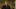 Video Platzhalter Video Platzhalter