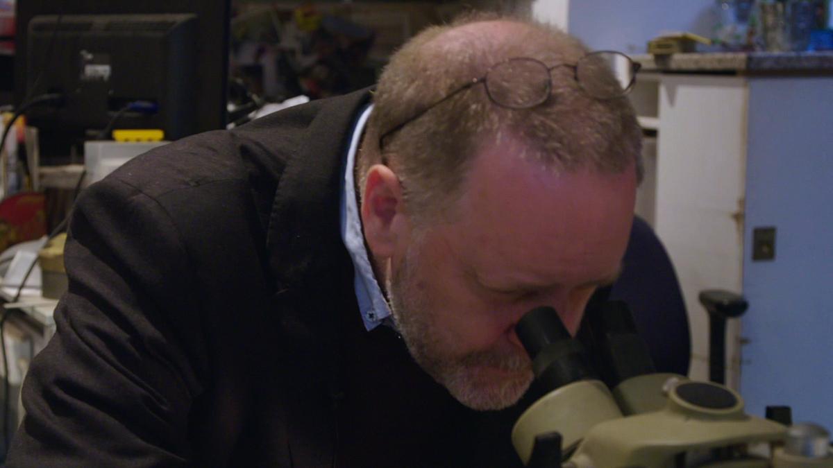 expert witness - forensiker auf spurensuche