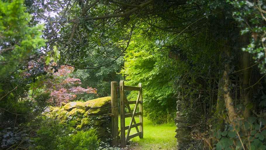 Britische Gärten und ihre wilden Bewohner britische gärten und ihre wilden bewohner
