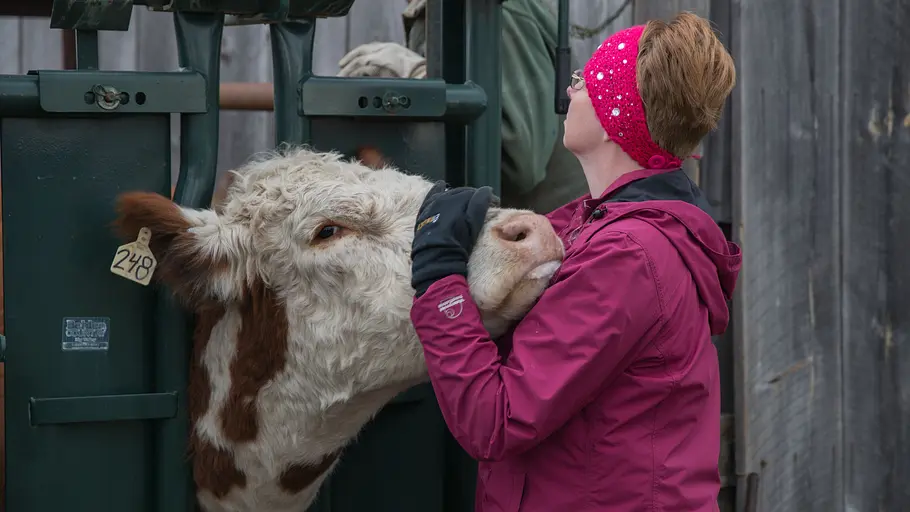 Der unglaubliche Dr. Pol am 11. November 2026 um 20:15 Uhr auf Nat Geo ...