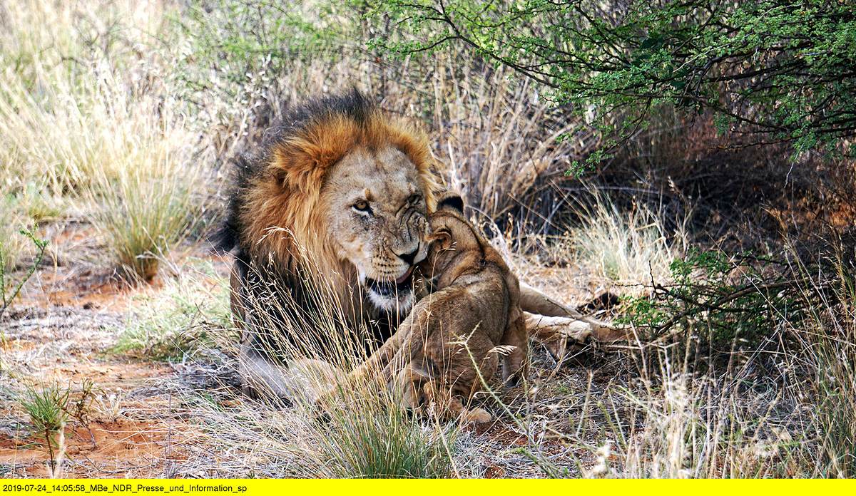 von kapstadt in die kalahari - südafrikas unbekannter westen
