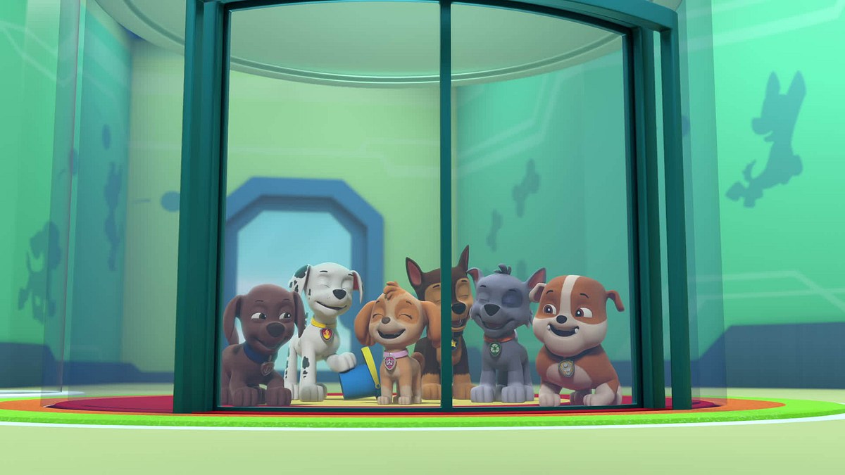 paw patrol - helfer auf vier pfoten