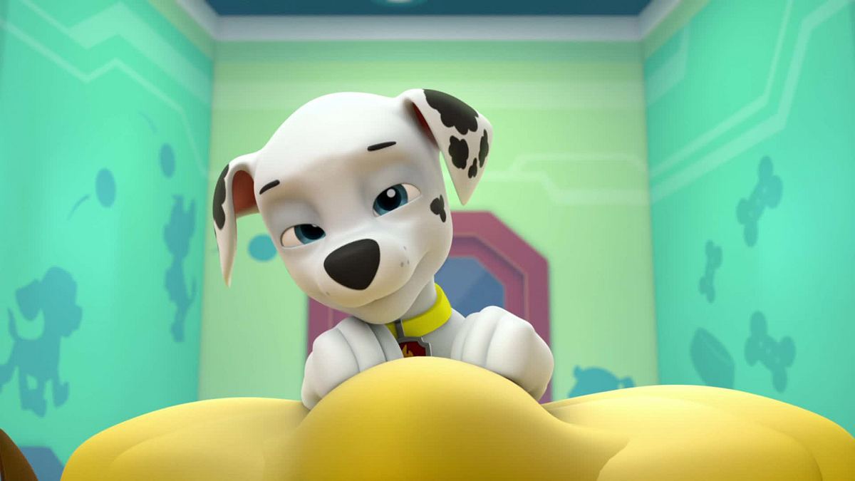 Paw Patrol - Helfer auf vier Pfoten paw patrol - helfer auf vier pfoten