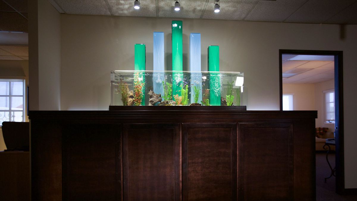 die aquarium-profis