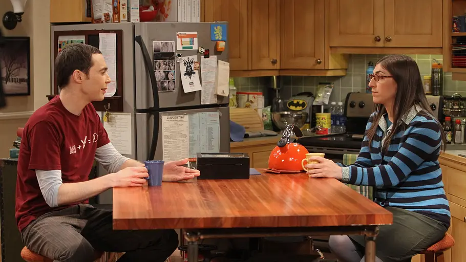 The Big Bang Theory the big bang theory